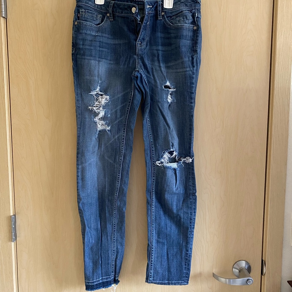 Vigoss the Chelsea Skinny Jean